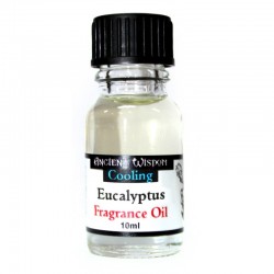 Eukalyptový vonný olej 10 ml