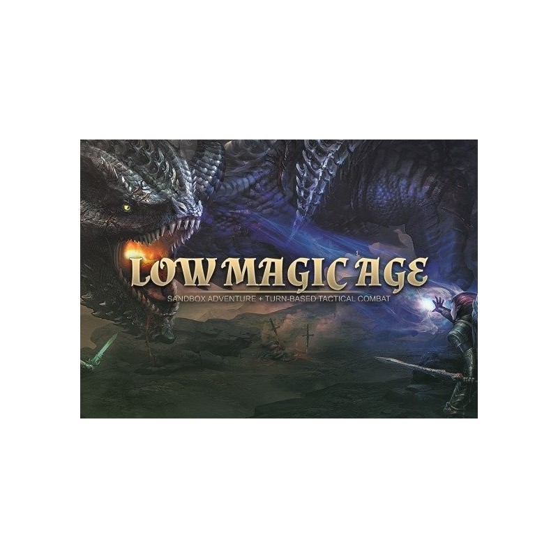 Low Magic Age (PC) CD Ključ za Steam - Globalno