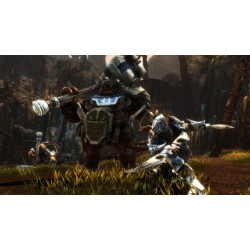 Kingdoms of Amalur: Re-Reckoning FATE Edition - Steam CD Ključ Globalno