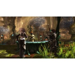 Kingdoms of Amalur: Re-Reckoning FATE Edition - Steam CD Ključ Globalno