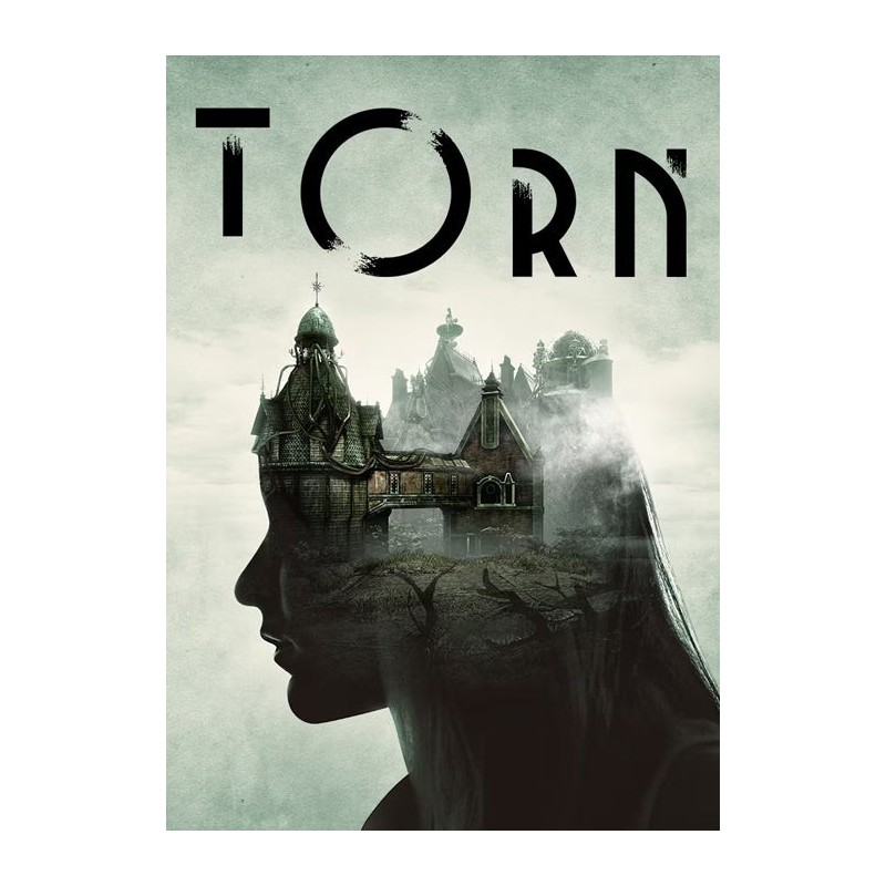 Torn Steam CD Ključ / PC / Globalno