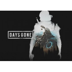 Days Gone Steam CD Ključ Turkey