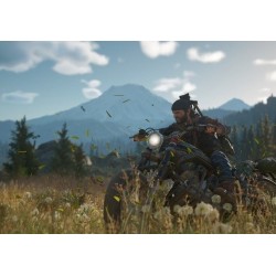 Days Gone Steam CD Ključ Turkey