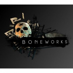 BONEWORKS Ključ za Steam Evropa