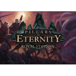 Pillars of Eternity - Royal Edition (PC) CD Ključ za Steam - Globalno