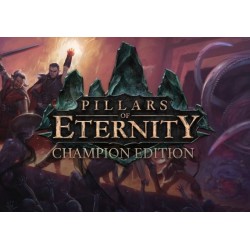 Pillars of Eternity - Champion Edition (PC) CD Ključ za Steam - Globalno