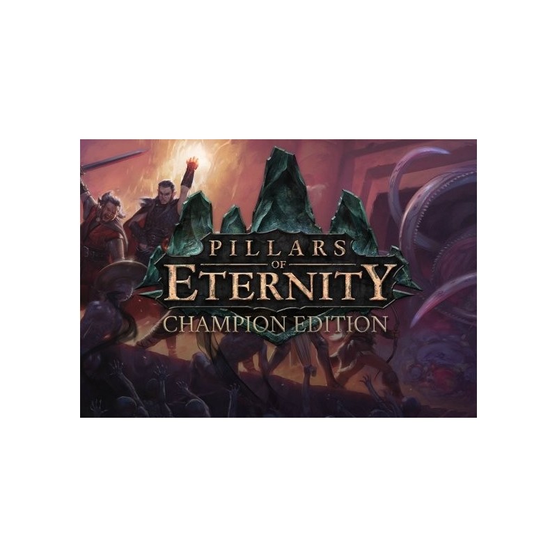Pillars of Eternity - Champion Edition (PC) CD Ključ za Steam - Globalno