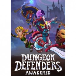 Dungeon Defenders Awakened Steam (PC) - Steam CD Ključ - Evropa