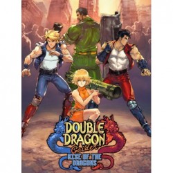 Double Dragon Gaiden Rise Of The Dragons Steam (PC) - Steam CD Ključ - Globalno