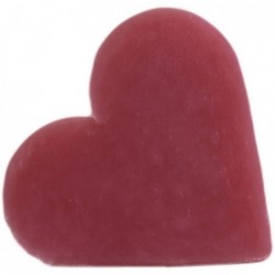 Mila za goste srce - Divja vrtnica