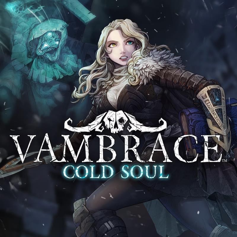 Vambrace: Cold Soul Steam (PC) - Steam CD Ključ - Globalno