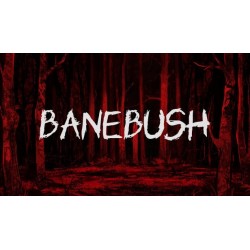 Banebush Steam (PC) - Steam CD Ključ - Globalno