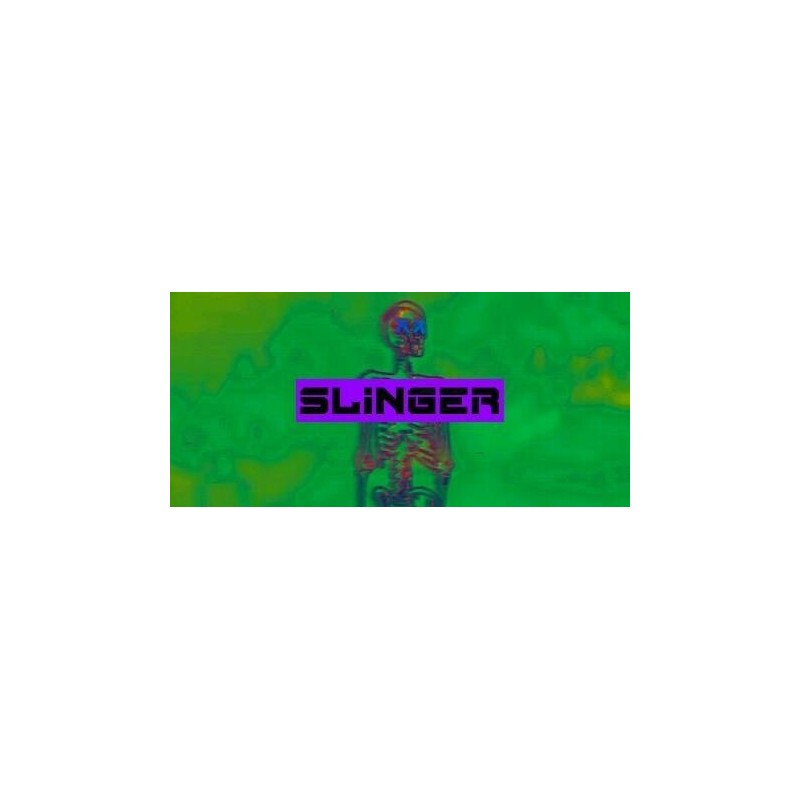 Slinger Steam (PC) - Steam CD Ključ - Globalno