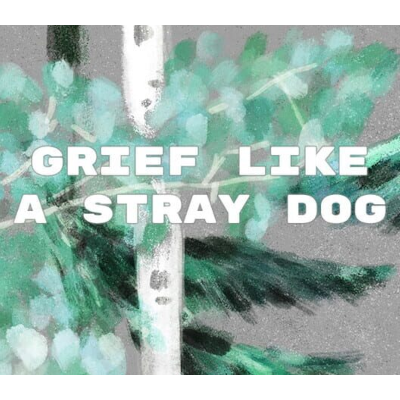 Grief like a stray dog Steam (PC) - Steam CD Ključ - Globalno