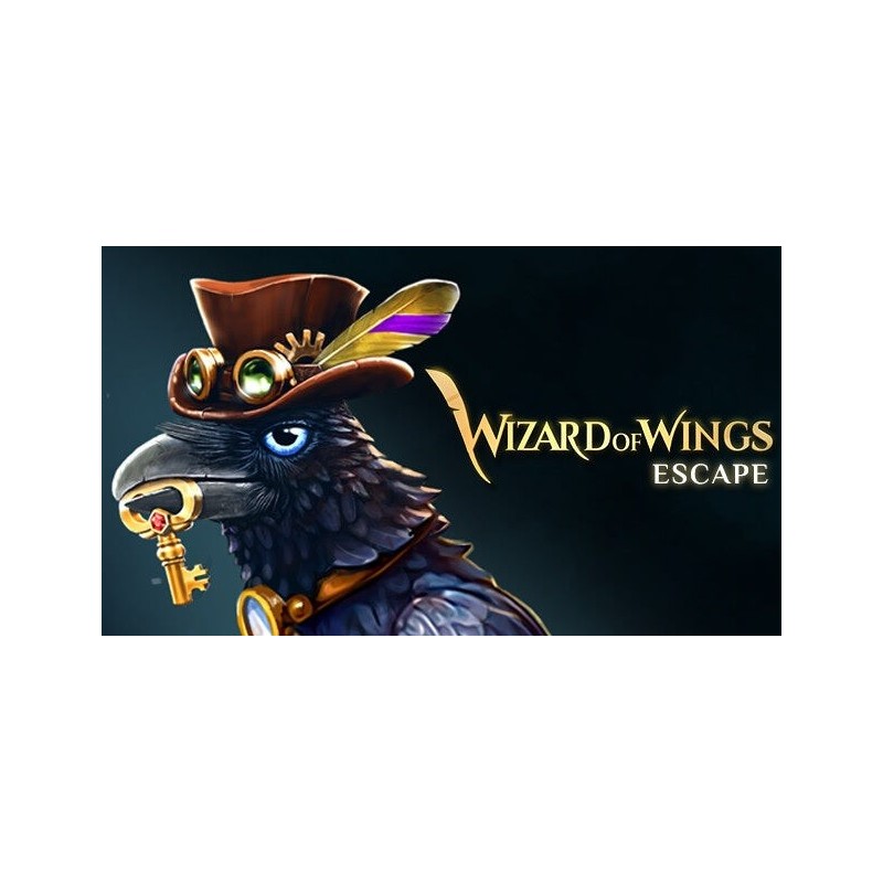 Wizard of Wings: Escape Steam (PC) - Steam CD Ključ - Globalno