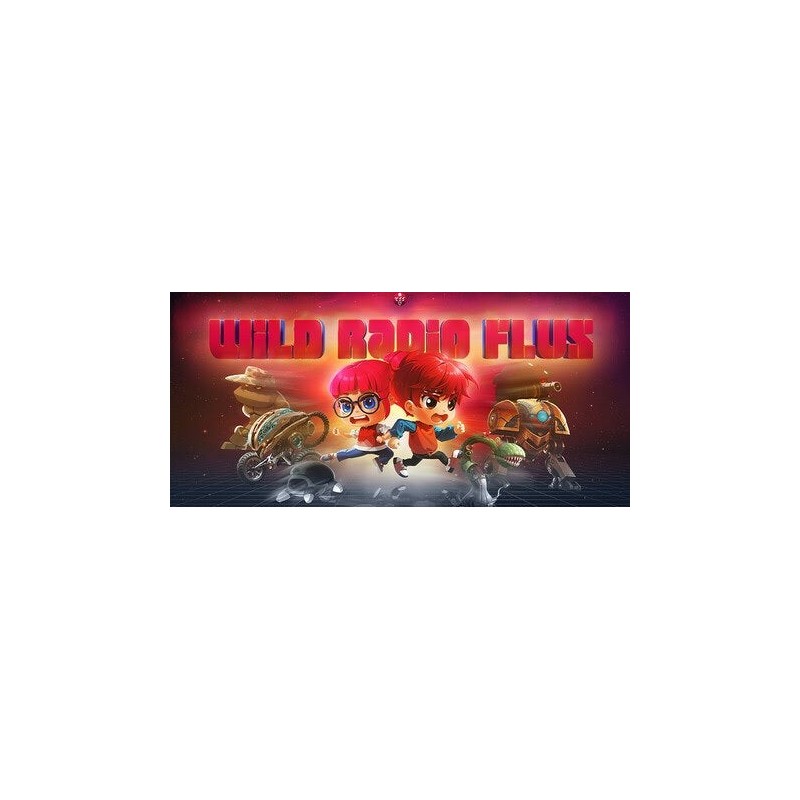 Wild Radio Flux Steam (PC) - Steam CD Ključ - Globalno