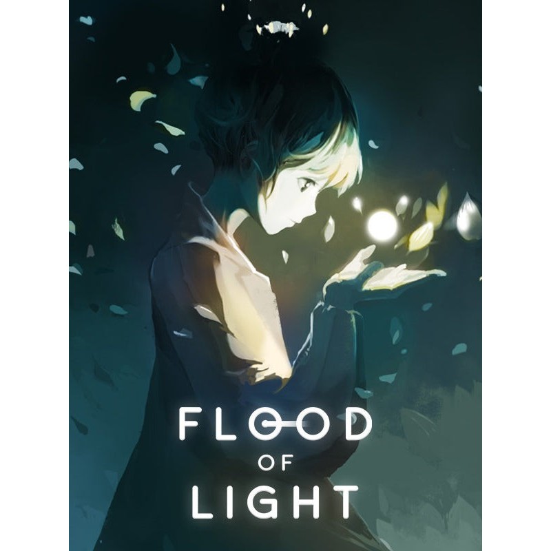 Flood of Light Steam (PC) - Steam CD Ključ - Globalno