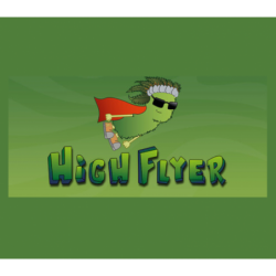 High Flyer Steam (PC) - Steam CD Ključ - Globalno