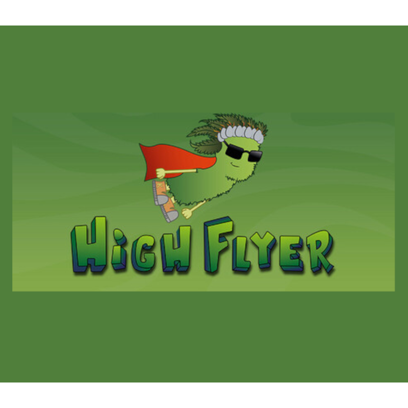 High Flyer Steam (PC) - Steam CD Ključ - Globalno