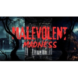 Malevolent Madness Steam (PC) - Steam CD Ključ - Globalno