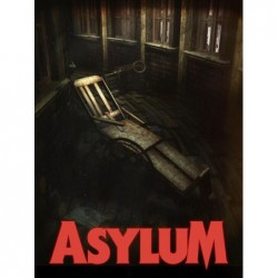 ASYLUM Steam (PC) - Steam CD Ključ - Globalno